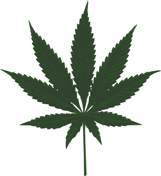 Pot Plant svg #16, Download drawings