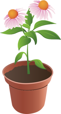 Pot Plant svg #3, Download drawings