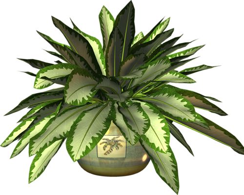 Pot Plant svg #7, Download drawings