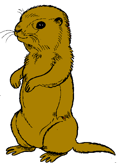 Prairie Dog clipart #1, Download drawings