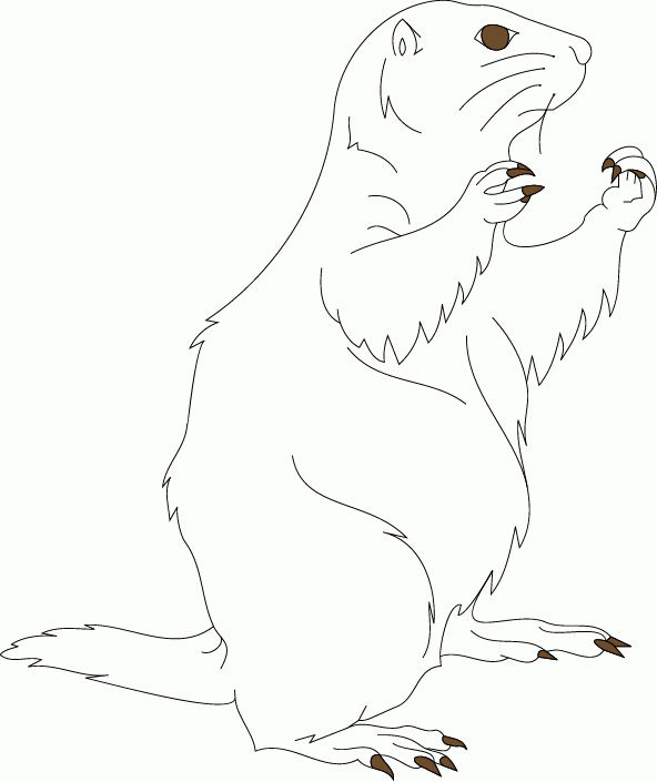 Prairie Dog coloring #16, Download drawings