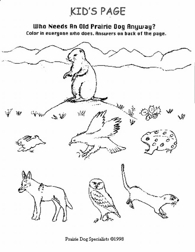Download Prairie Dog Coloring For Free Designlooter 2020 