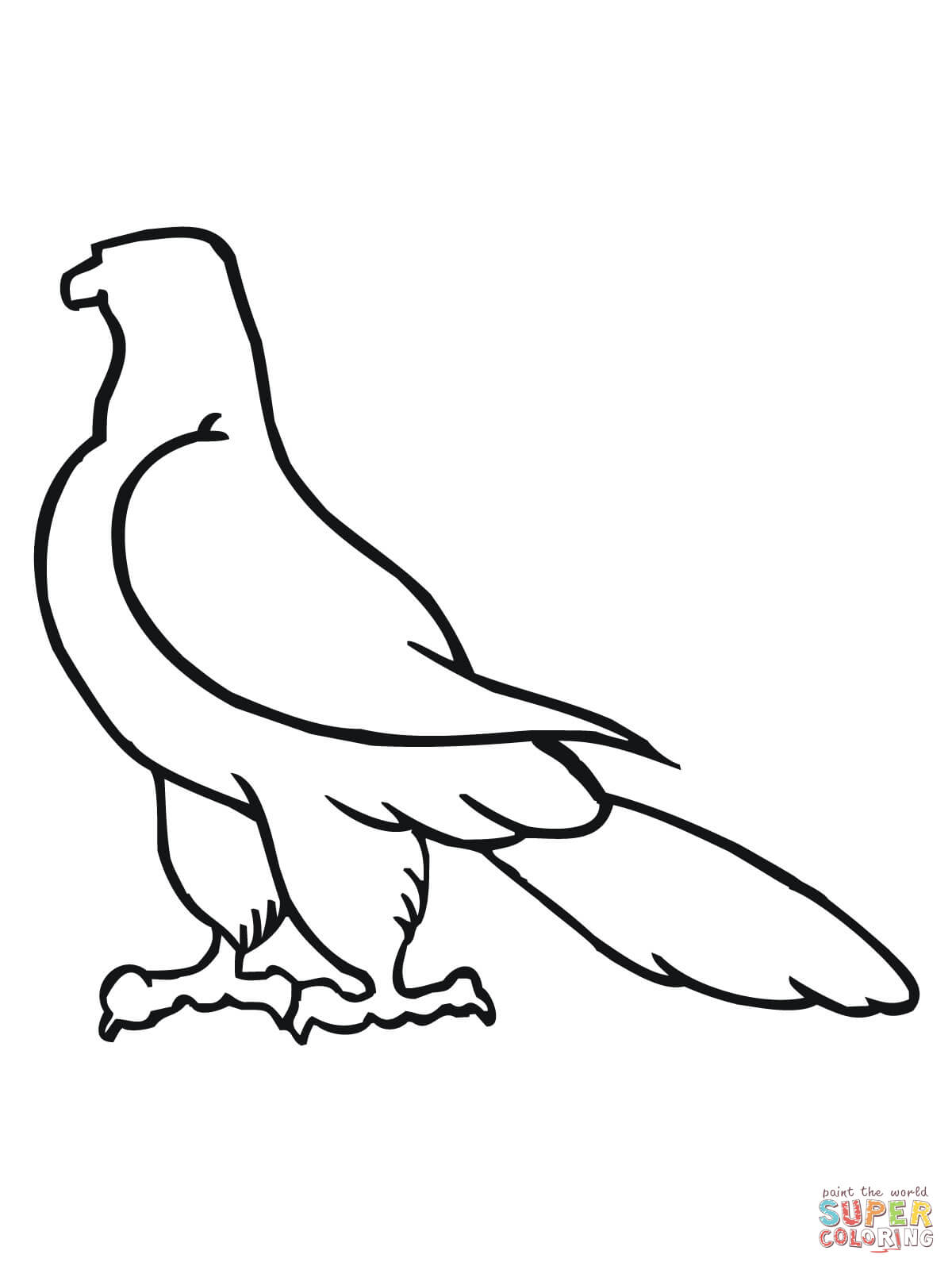 Prairie Falcon coloring #12, Download drawings