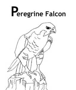 Prairie Falcon coloring #11, Download drawings