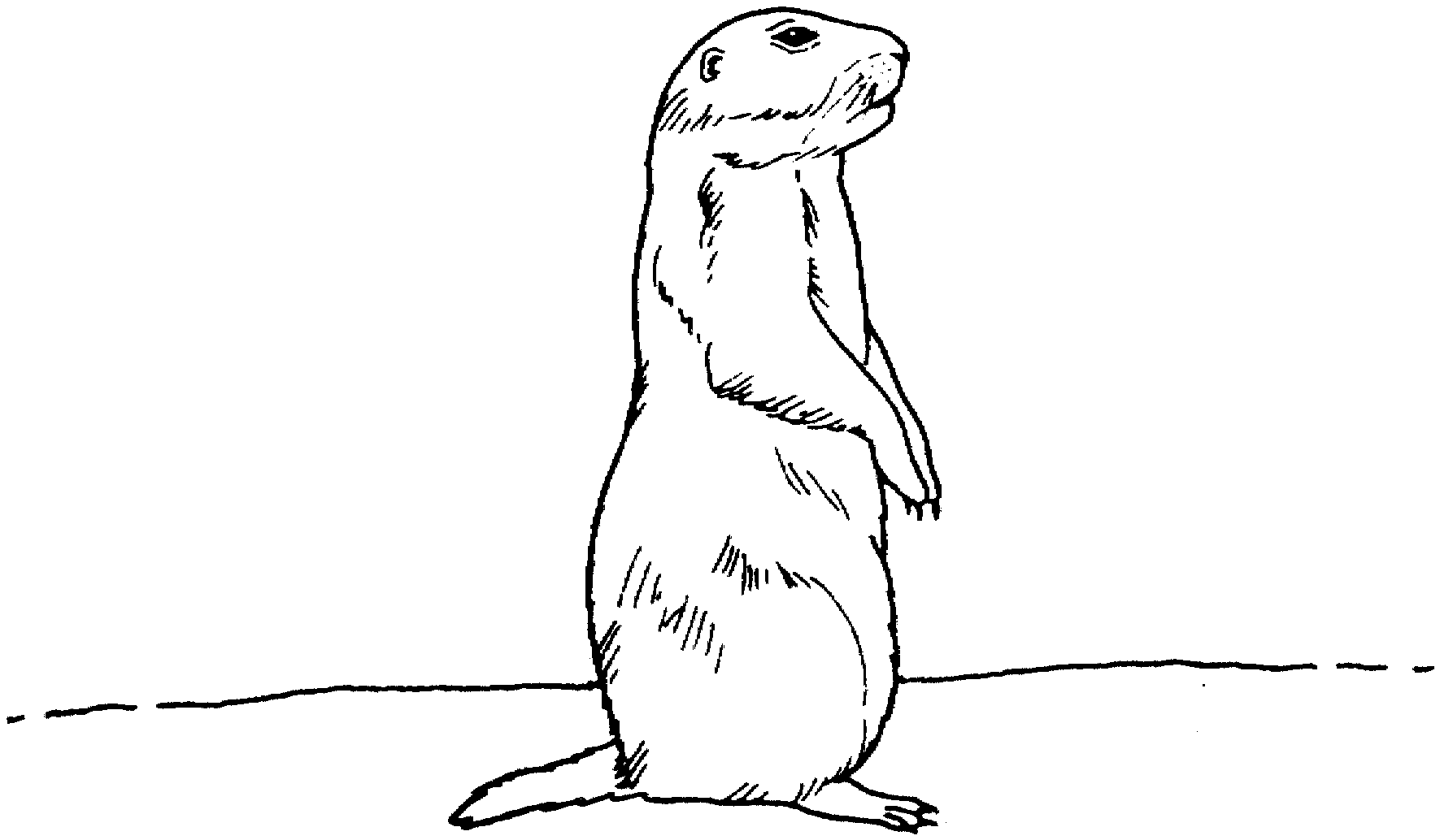 Prarie Dogs clipart #11, Download drawings