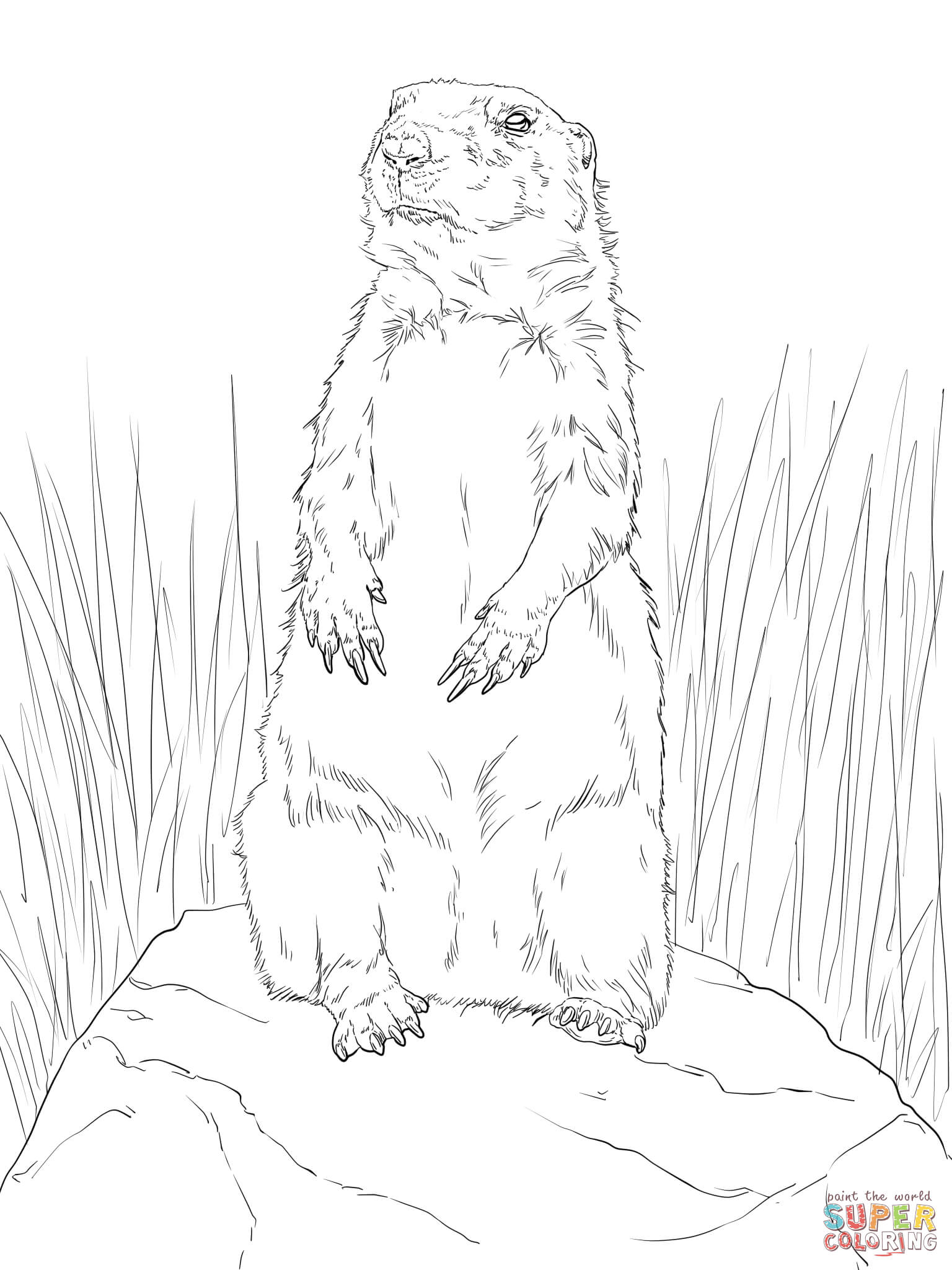 Prarie Dogs coloring #6, Download drawings