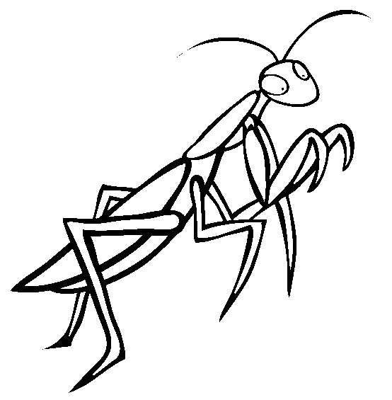 Praying Mantis coloring #4, Download drawings