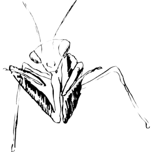 Praying Mantis svg #15, Download drawings