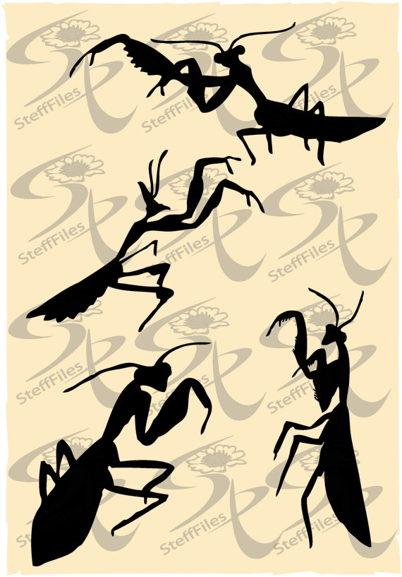 Praying Mantis svg #5, Download drawings