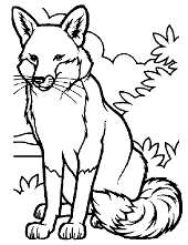 Predator (Animal) coloring #19, Download drawings