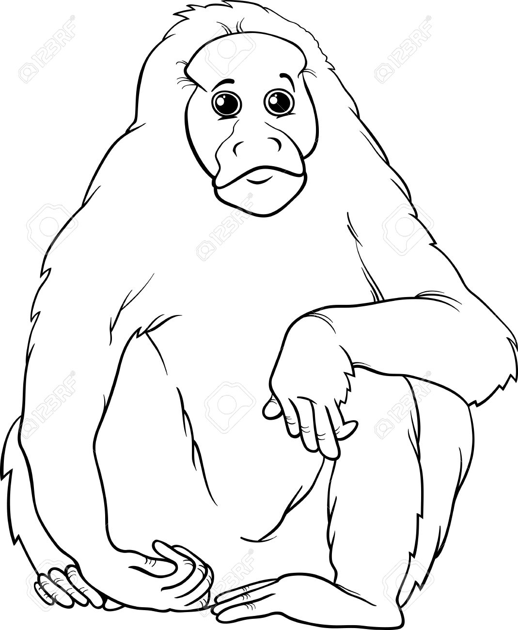 Primate coloring #5, Download drawings