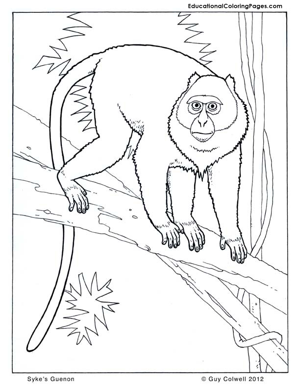 Primate coloring #15, Download drawings