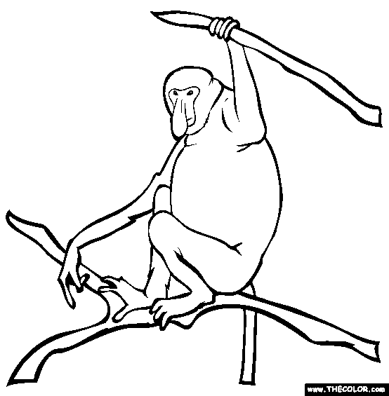 Proboscis Monkey clipart #19, Download drawings