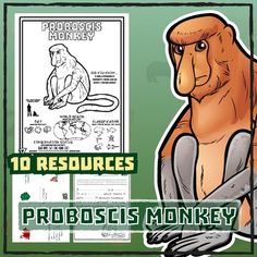 Proboscis Monkey coloring #8, Download drawings