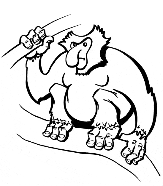 Proboscis Monkey coloring #16, Download drawings