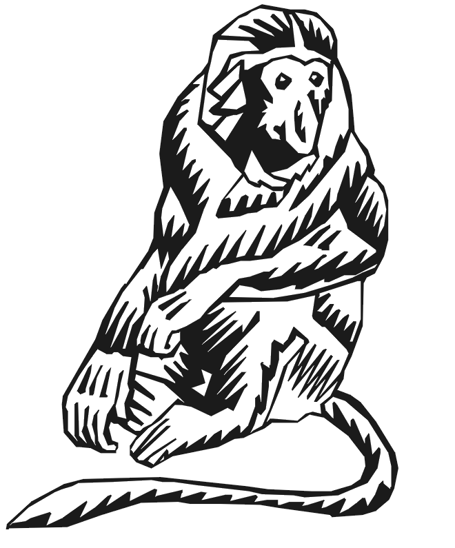 Proboscis Monkey coloring #18, Download drawings