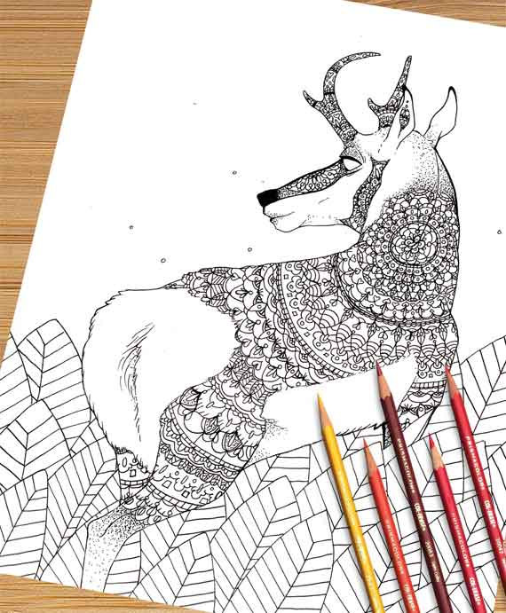 Pronghorn Antelope coloring #13, Download drawings