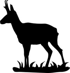 Pronghorn Antelope svg #16, Download drawings