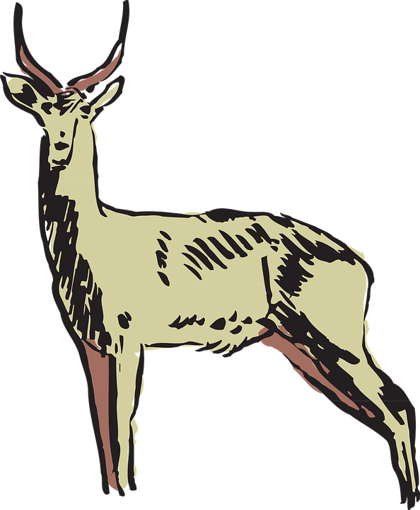 Pronghorn Antelope svg #7, Download drawings