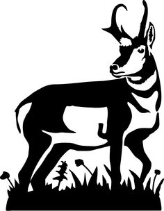 Pronghorn svg #14, Download drawings