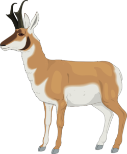 Pronghorn svg #13, Download drawings