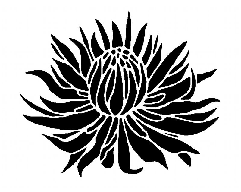 Protea svg #7, Download drawings