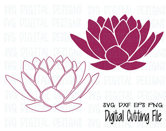 Protea svg #9, Download drawings