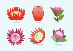Protea svg #19, Download drawings