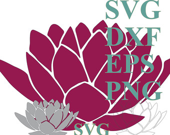 Protea svg #8, Download drawings