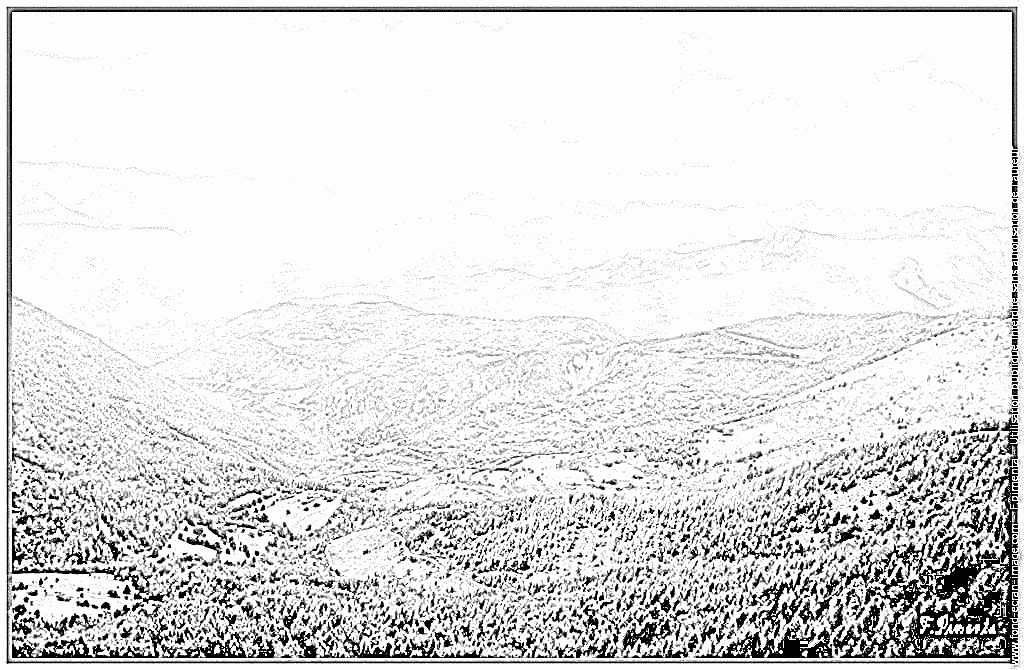 Provence coloring #13, Download drawings