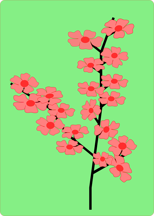 Prunus Blossom svg #3, Download drawings