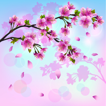 Prunus Blossom svg #14, Download drawings