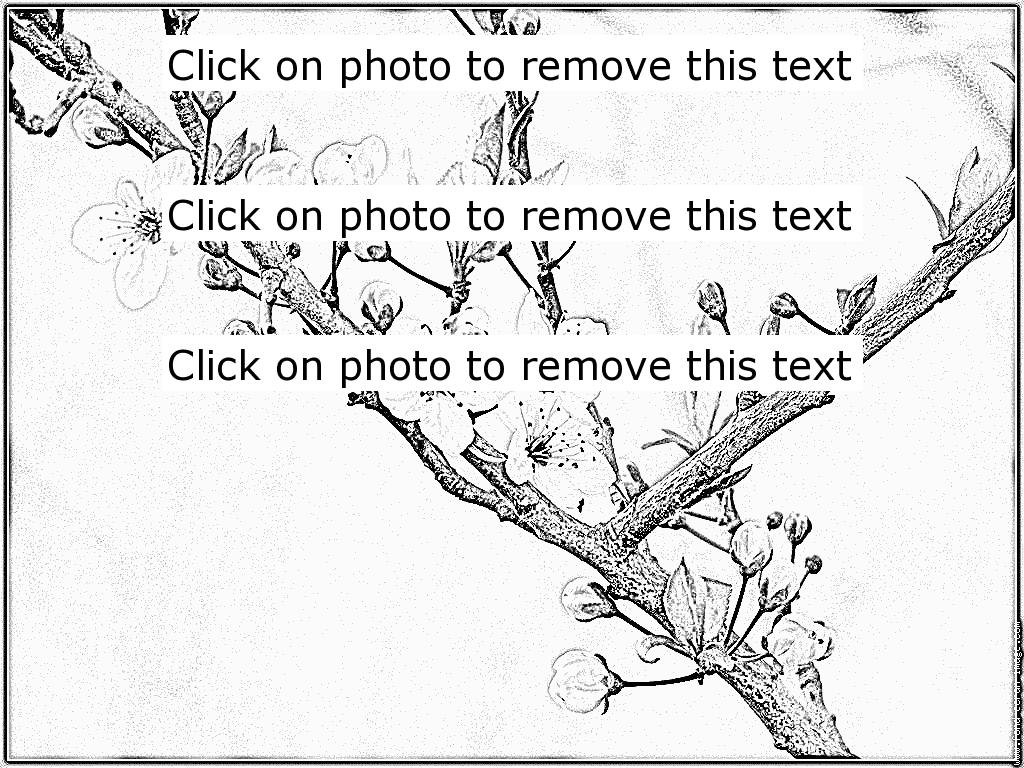 Prunus coloring #10, Download drawings