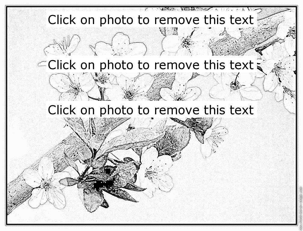 Prunus coloring #8, Download drawings