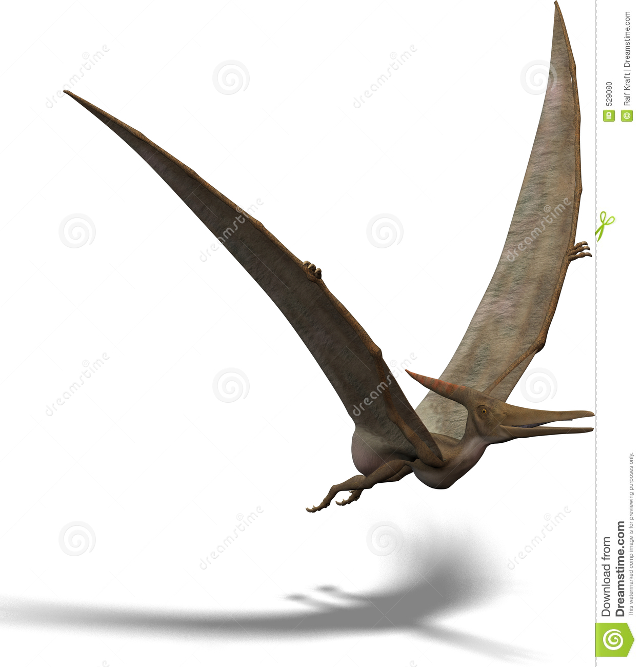 Pteranodon clipart #9, Download drawings