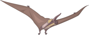 Pteranodon clipart #13, Download drawings