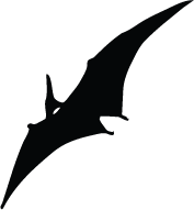 Pteranodon clipart #20, Download drawings