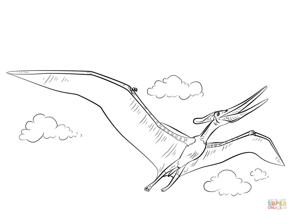 Pteranodon coloring #14, Download drawings