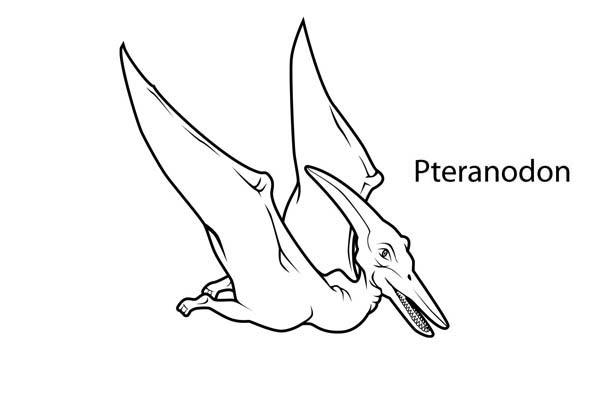 Pteranodon coloring #19, Download drawings