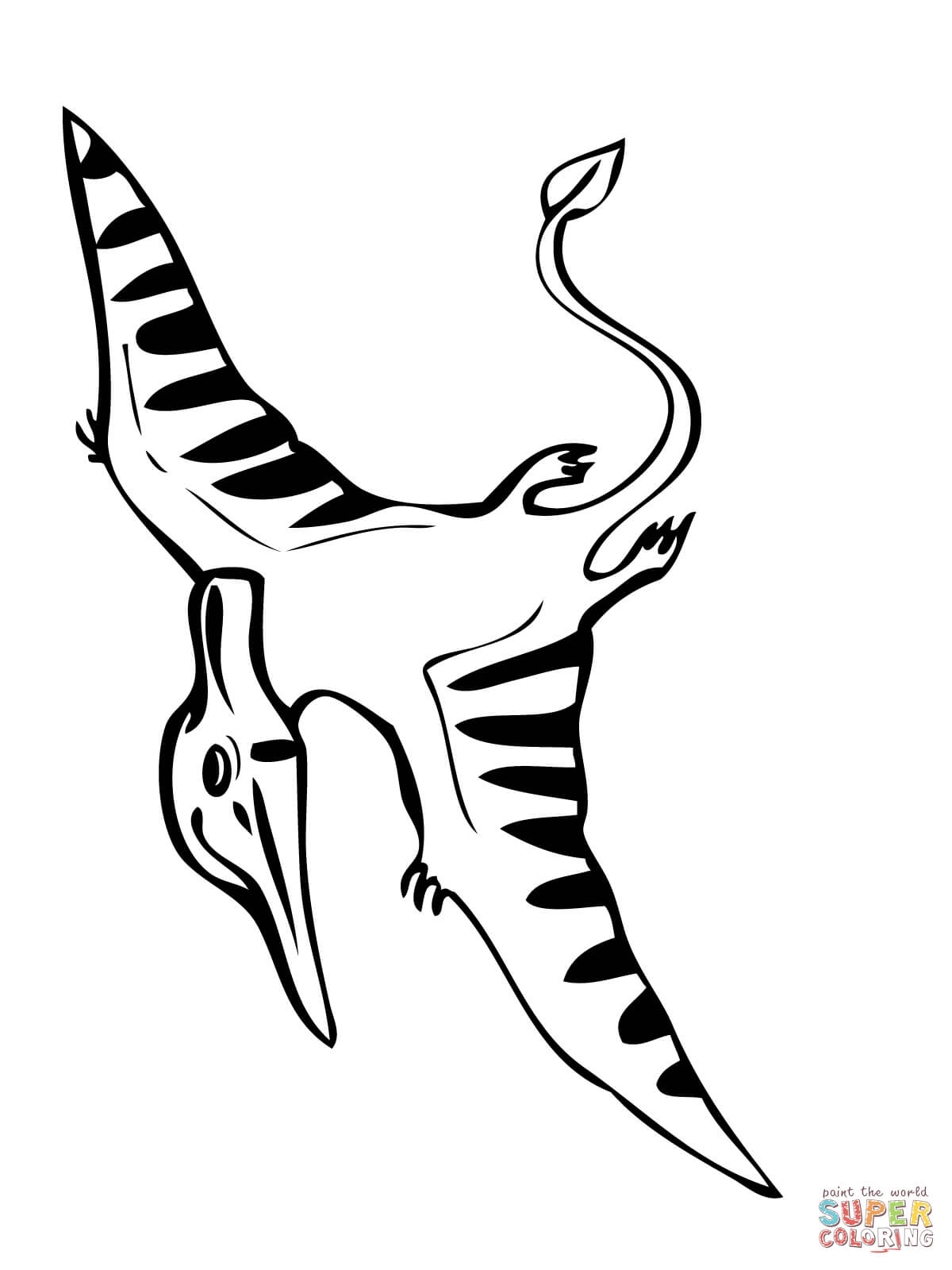 Pteranodon coloring #1, Download drawings