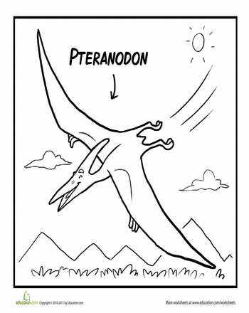 Pteranodon coloring #5, Download drawings