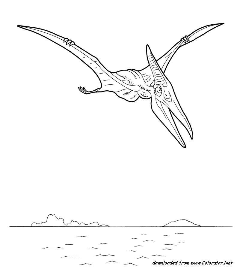 Pteranodon coloring #18, Download drawings