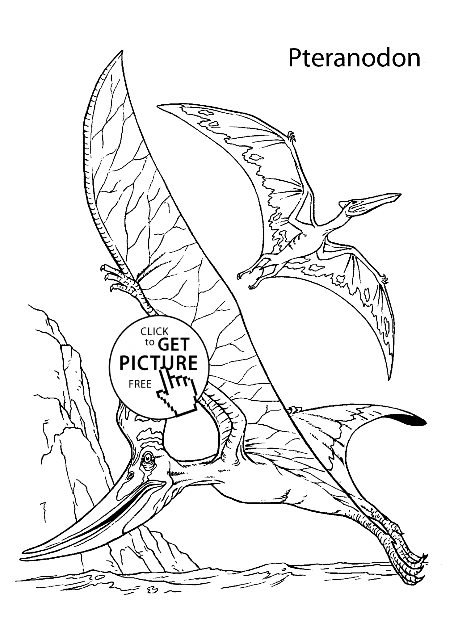 Pteranodon coloring #7, Download drawings