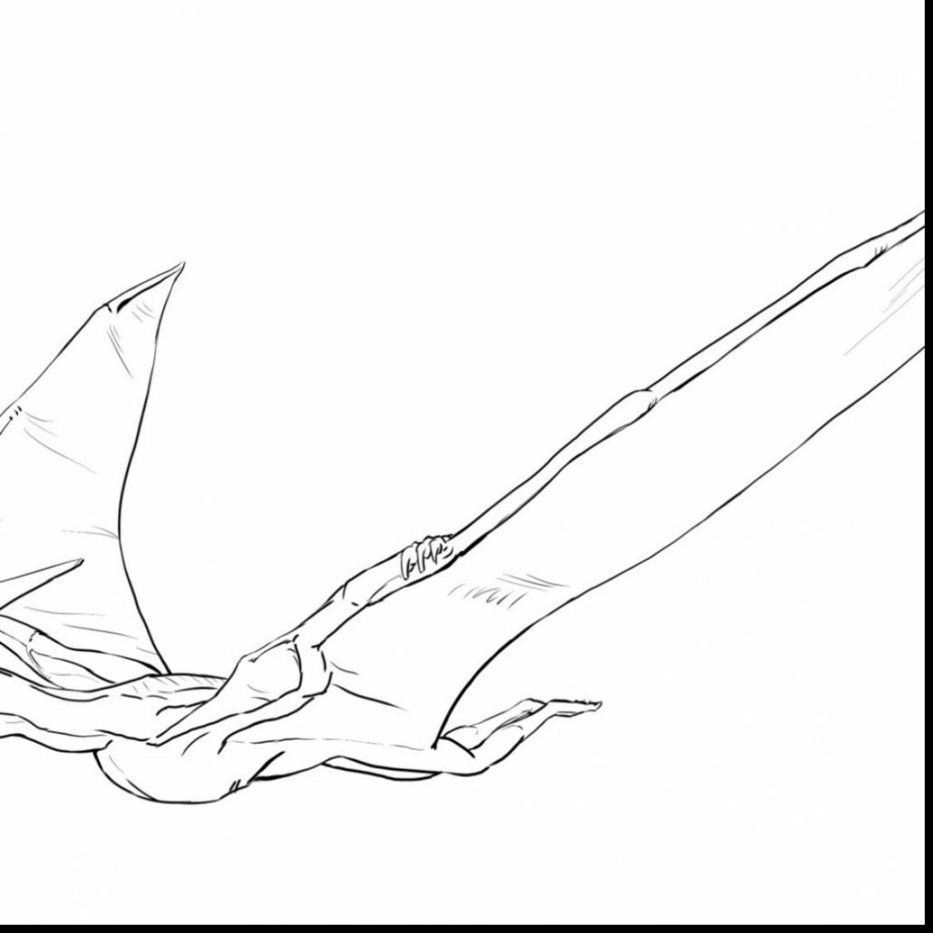 Pteranodon coloring #11, Download drawings