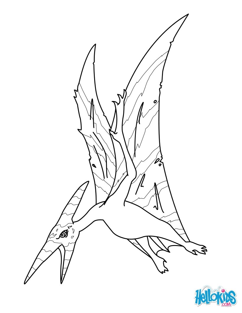 Pteranodon coloring #13, Download drawings
