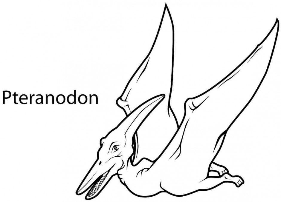 Pteranodon coloring #17, Download drawings