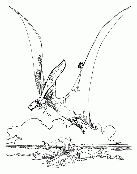 Pteranodon coloring #20, Download drawings