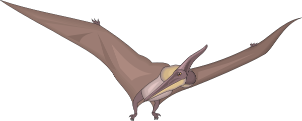 Pteranodon svg #15, Download drawings