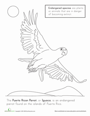 Puerto Rico coloring #2, Download drawings