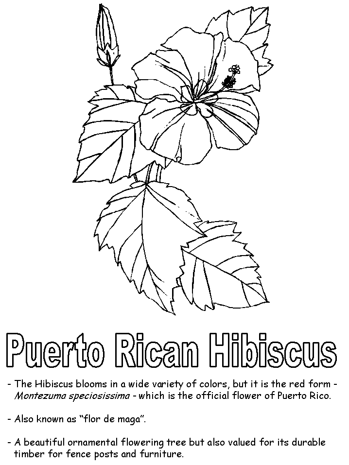 Puerto Rico coloring #20, Download drawings